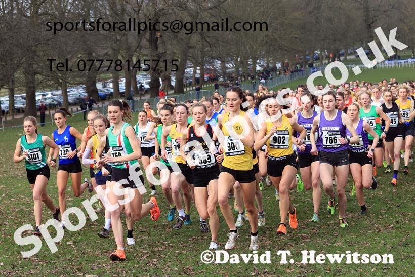 Senior Women, 2024 CAU Inter Counties Cross Country Champs., Wollaton Park, Nottingham. Photo: David T. Hewitson/Sports for All Pics